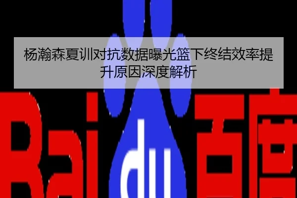 杨瀚森夏训对抗数据曝光篮下终结效率提升原因深度解析